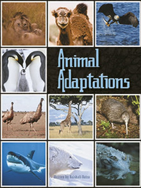SIC - SiC5: Animal Adaptations