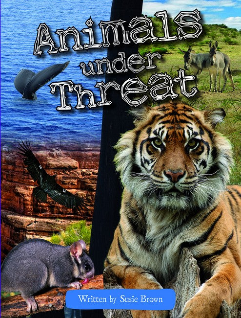 SIC - SiC5: Animals Under Threat