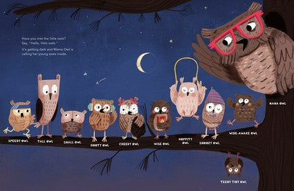 Time for Bed, Little Owls!