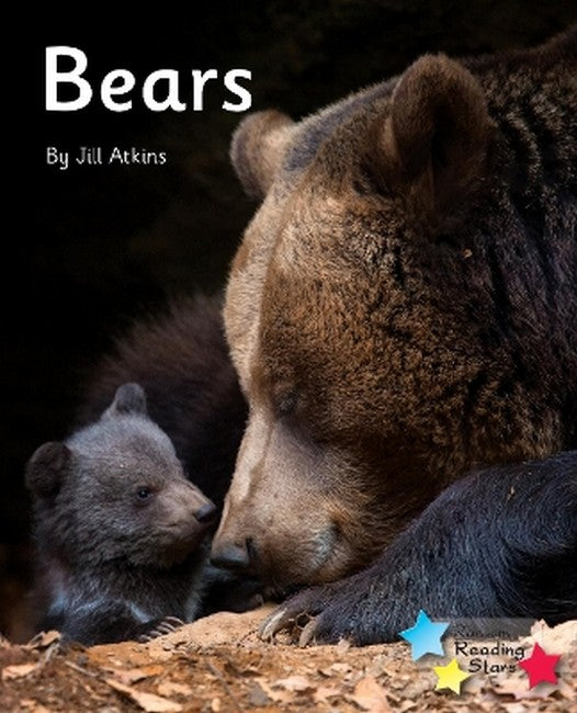 Bears