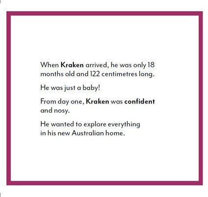 Kraken the Komodo Dragon