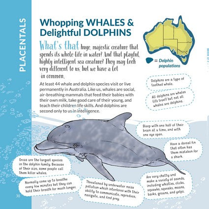 What's That? Australian Mammals (HB)