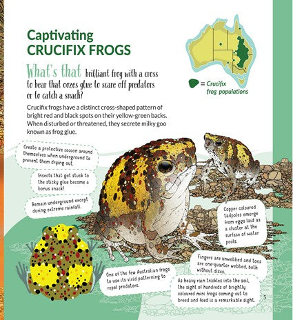 What's That? Australian Frogs, Toads & Newts (HB)