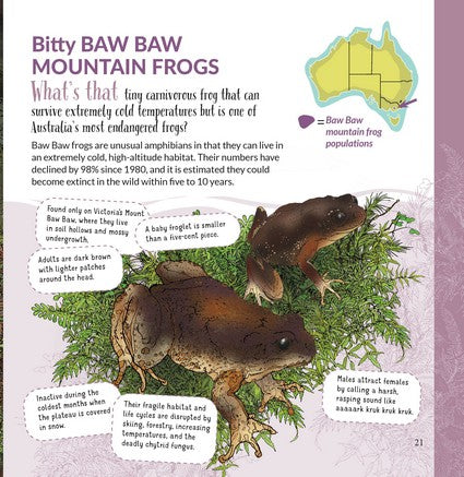 What's That? Australian Frogs, Toads & Newts (HB)