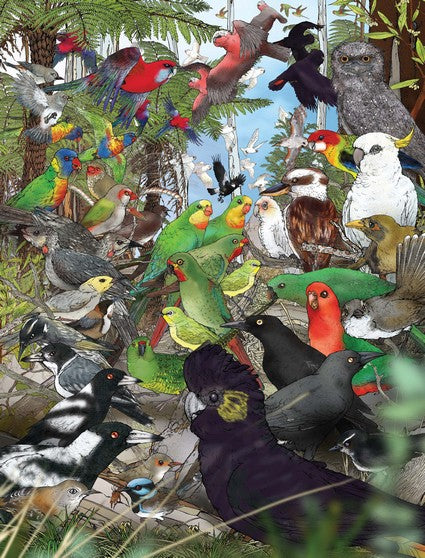 Australian Outback Birds