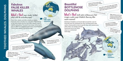 What's That? Australian Whales, Dolphins & Porpoises