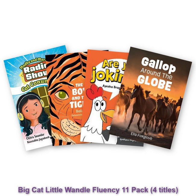Big Cat Little Wandle Fluency 11 Pack