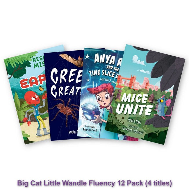 Big Cat Little Wandle Fluency 12 Pack
