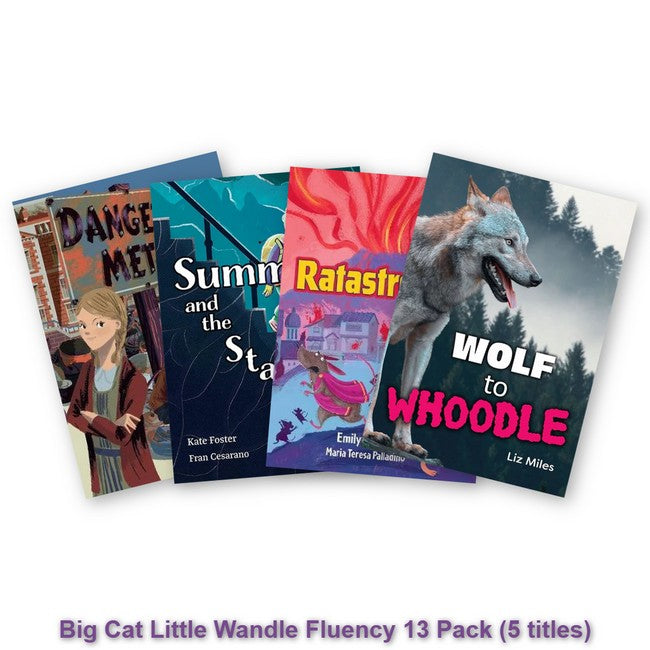 Big Cat Little Wandle Fluency 13 Pack