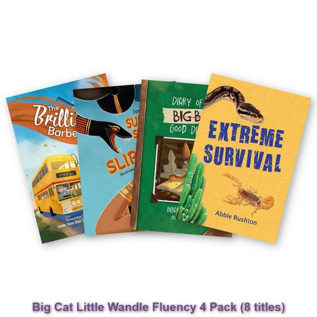 Big Cat Little Wandle Fluency 4 Pack