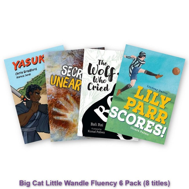 Big Cat Little Wandle Fluency 6 Pack