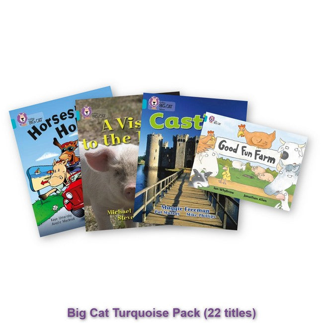 Big Cat Turquoise Pack