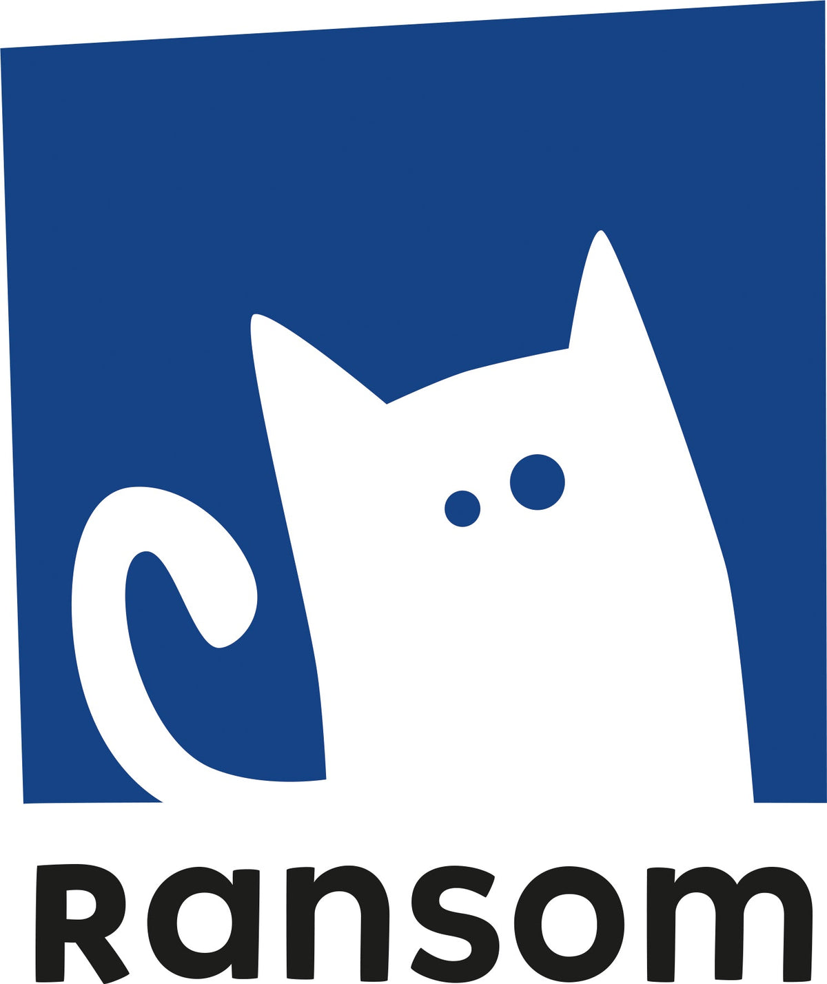 Reading Stars Achieve Phonics