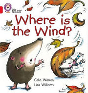Where is the Wind?