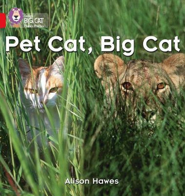 Pet Cat, Big Cat