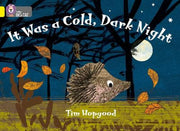It Was a Cold Dark Night