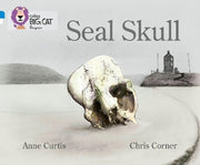 Seal Skull