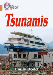 Tsunamis
