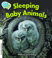 Sleeping Baby Animals Teacher Edition