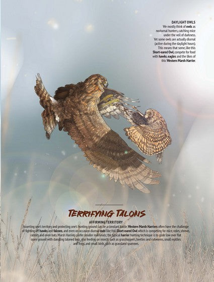 Myke Mollard's Birds of Prey