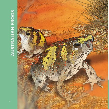 What's That? Australian Frogs, Toads & Newts (HB)