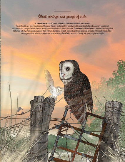 Australian Outback Birds