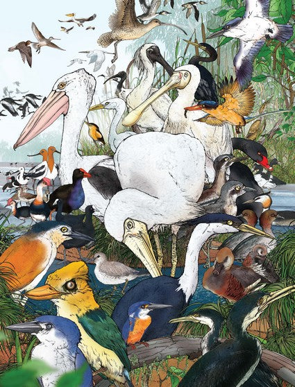 Australian Outback Birds