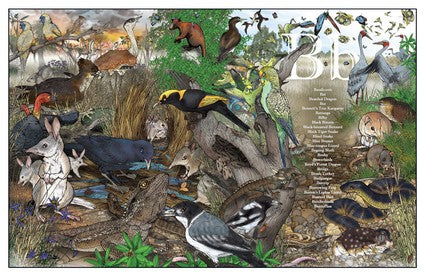 An A-Z of Australian Bush Creatures