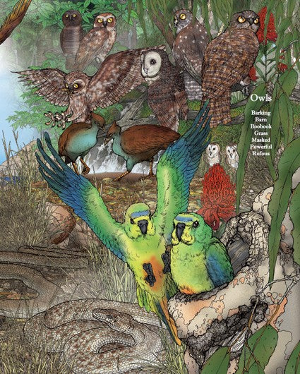 An A-Z of Australian Bush Creatures