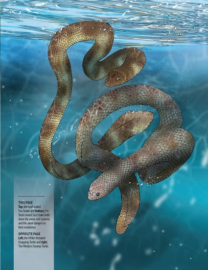 Australia's Endangered Bush Creatures