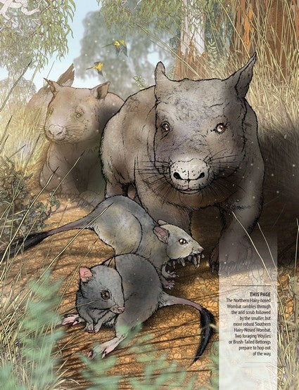 Australia's Endangered Bush Creatures