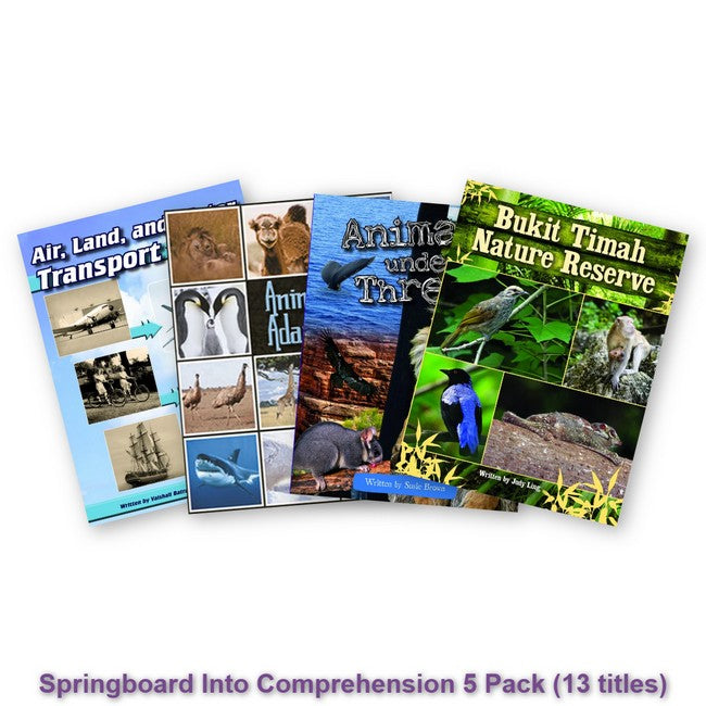 Springboard Into Comprehension 5 Pack