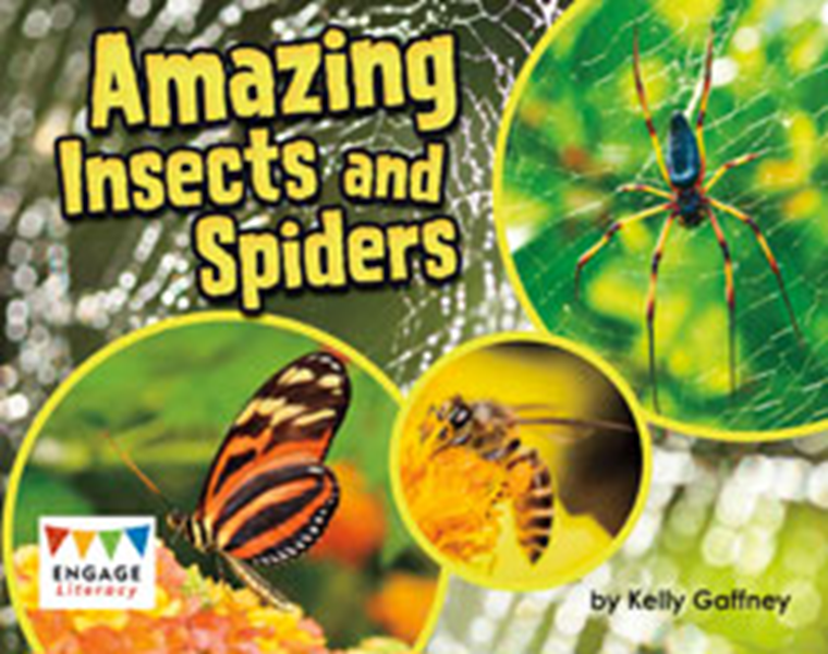 Amazing Insects & Spiders ( L18)