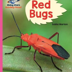 Galaxy (Pink B) - Red Bugs (L3)