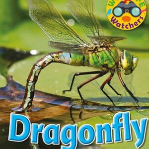 Wildlife Watchers: Dragonfly