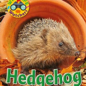 Wildlife Watchers: Hedgehog