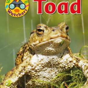Wildlife Watchers: Toad