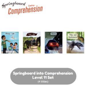 Springboard into Comprehension Level 11 Pack (4 titles)
