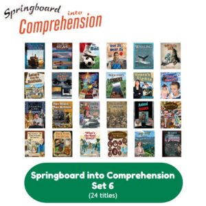 Springboard into Comprehension Set 6 (24 titles)