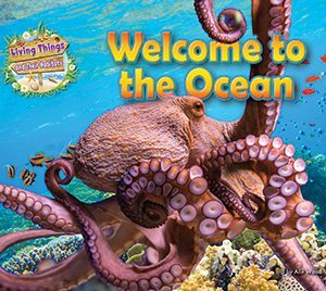 Welcome to the Ocean